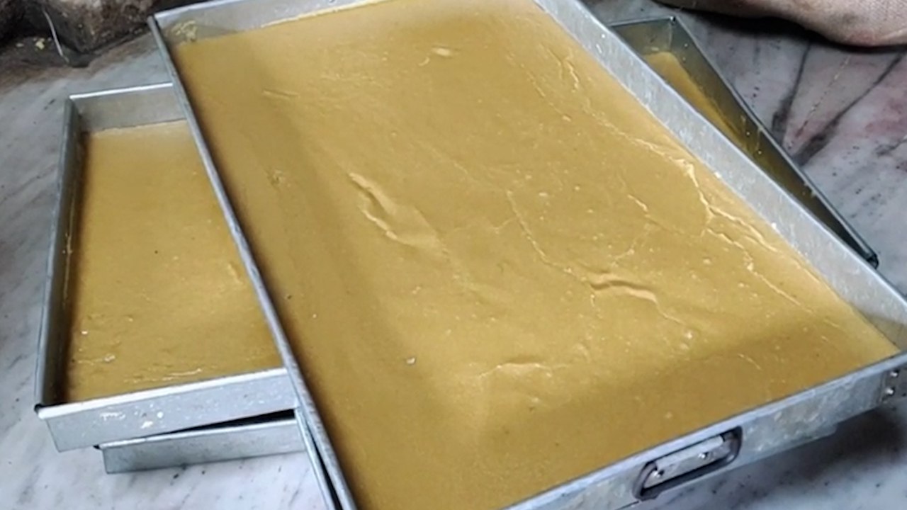 photo_2023-11-20_11-08-50