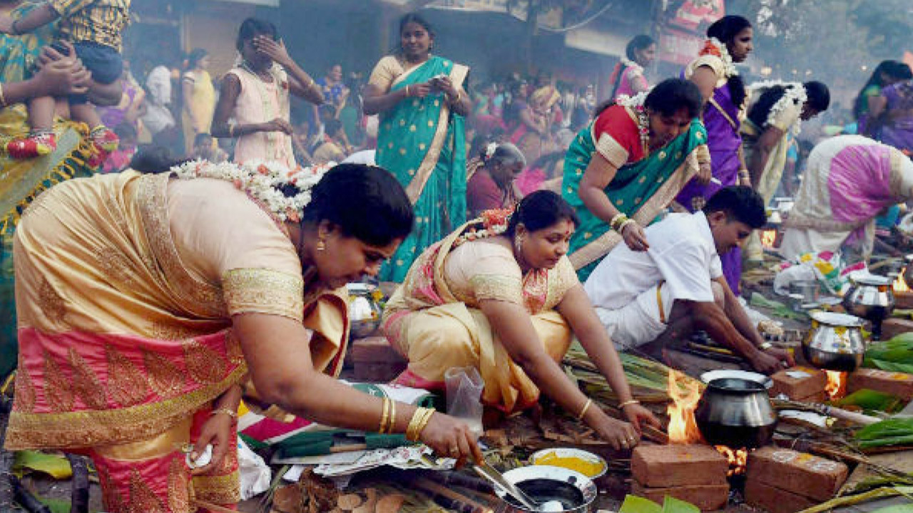 ASAM BIHU - PONGAL - POSHI PARVA BENGAL
