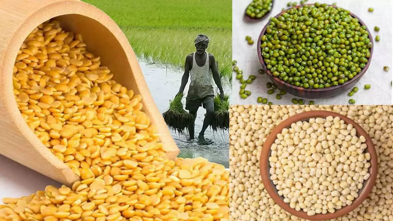 pulses