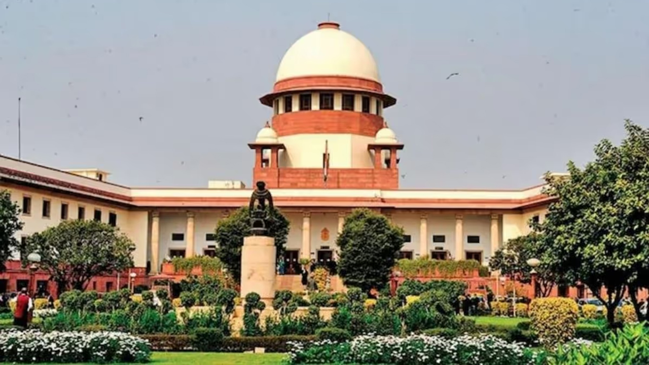 The Art of Baking: From Classic Bread to Artisan Pastries
