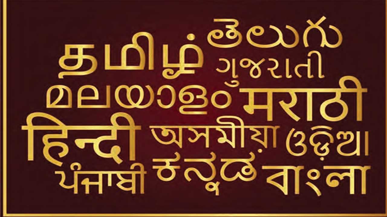 માતૃભાષાને સીધો સંબંધ આર્થિક સમૃદ્ધિ સાથે છે