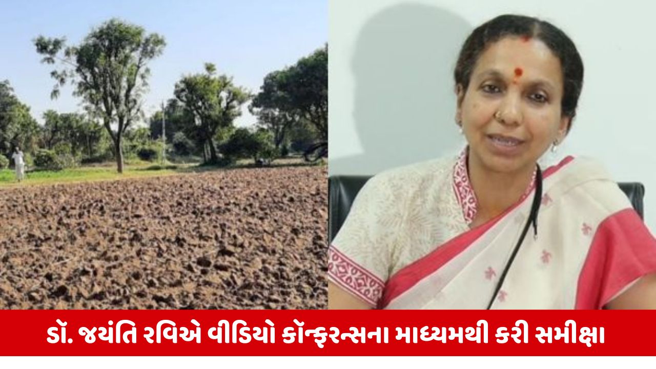 Gujaratમાં અત્યાર સુધીમાં 2.82 લાખથી વધુ જમીનના સર્વે નંબરો જુની શરતમાં જાહેર : ડૉ.જયંતિ રવિ