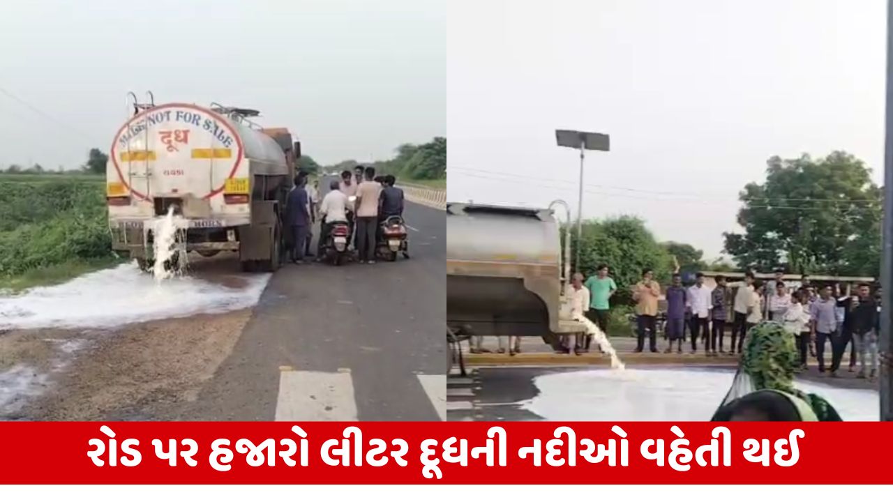 Sabarkantha : 990 રૂપિયા ભાવ ફેર આપવા છતાં પશુપાલકો નારાજ, 20થી 25 ટકા ભાવ ફેર આપવાની માગ