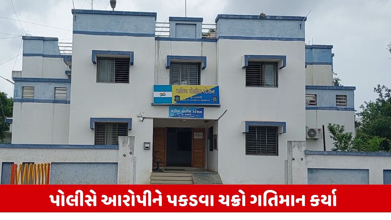 Amreli : વડીયામાં વૃદ્ધ દંપતીની અજાણ્યા ઈસમોએ હત્યા કરી 2 લાખની ચલાવી લૂંટ