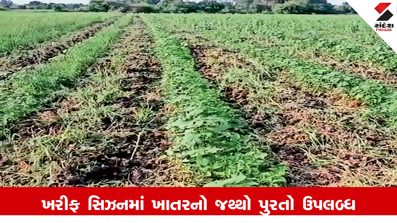 Botad News : બોટાદ જિલ્લામાં ખરીફ સિઝનમાં ખાતરનો જથ્થો પુરતો ઉપલબ્ધ, ખેડૂતો અફવા પર ના આપે ધ્યાન