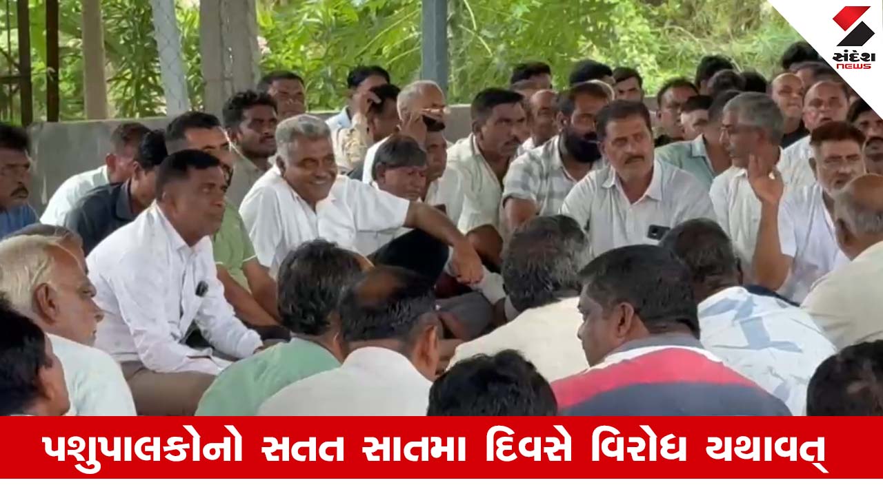 Aravalli News : પશુપાલકોની મોટી બેઠક, 66 દૂધ મંડળીઓના આગેવાનો રહ્યા હાજર