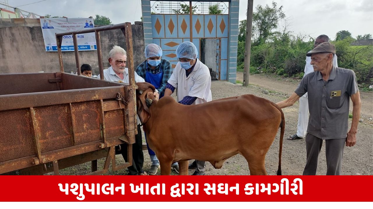 Rajkot : જિલ્લામાં 7 મહિનામાં 33,000થી વધુ પશુઓને અપાઈ લમ્પી રોગની રસી