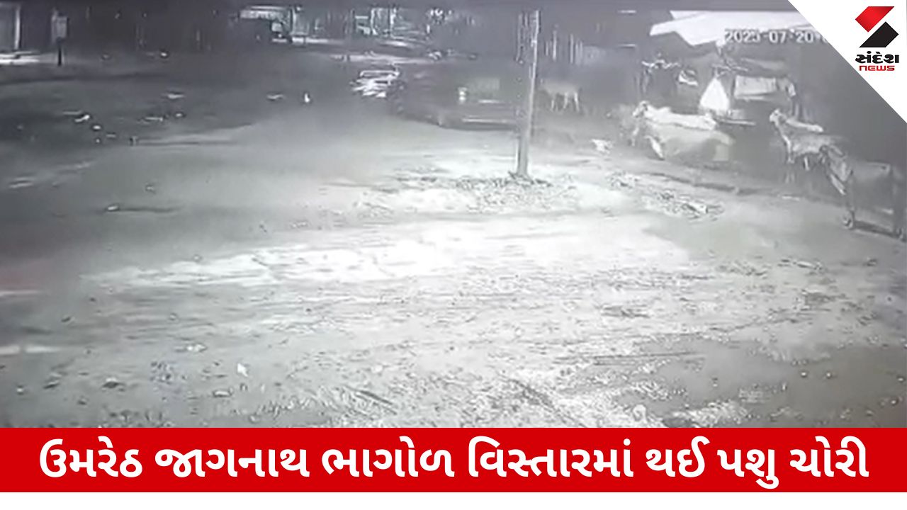 Anand News: ઉમરેઠમાં પશુ ચોરીથી પશુપાલકો ચિંતિત, પોલીસ પેટ્રોલિંગ સામે સવાલો