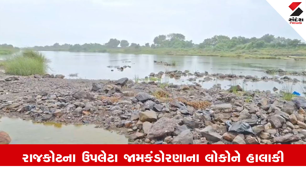 Rajkot News : ઉપલેટાના જામકંડોરણાના સ્થાનિકોનો તંત્ર સામે રોષ, બ્રિજ છેલ્લા 5 વર્ષથી તૂટ્યો છતા ન બનતા પડે છે હાલાકી