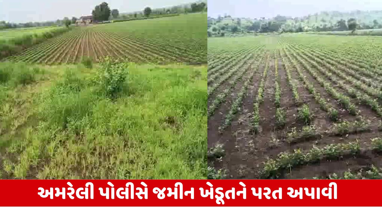 Amreli : માથાભારે શખ્સને પોલીસે પોતાની ભાષામાં સમજ આપી 30 વર્ષ પહેલા વેચેલી 10 વિઘા જમીનનો દસ્તાવેજ કરાવ્યો