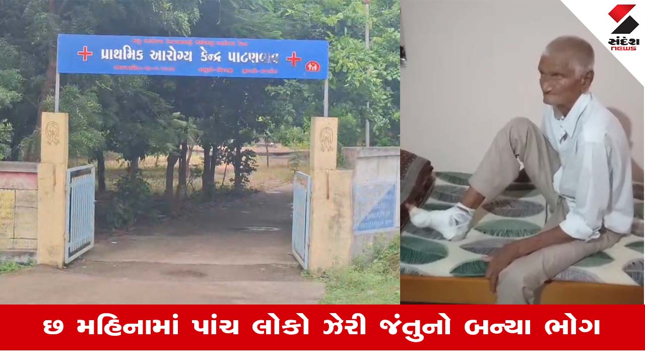 Rajkotમાં અજ્ઞાત ઝેરી જંતુ કરડવાથી બેના મોત, સ્થાનિકોમાં ફેલાયો ભયનો માહોલ