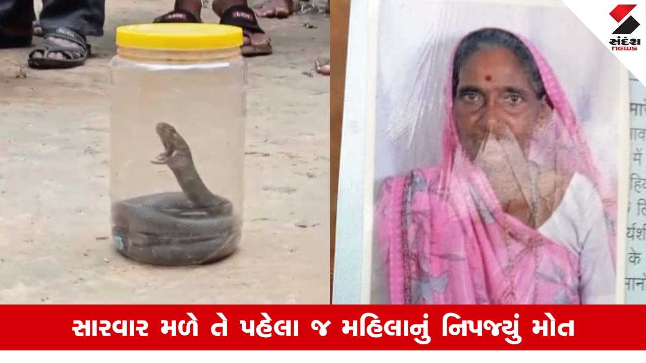 Vadodaraના સાવલીમાં સાપ કરડવાથી 70 વર્ષની વૃદ્ધાનું કરુણ મોત
