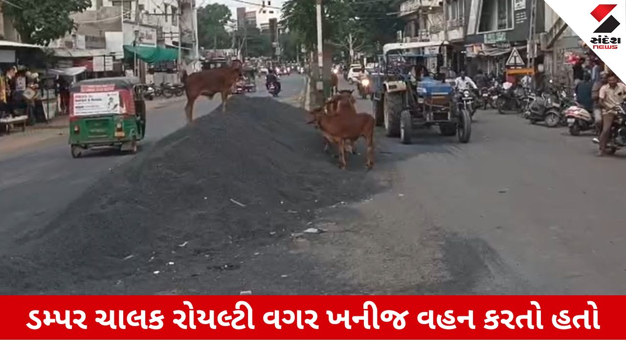 Botad News : ખનીજ વિભાગની ગાડીને ટક્કર મારી ડમ્પર ચાલક ફરાર થયો