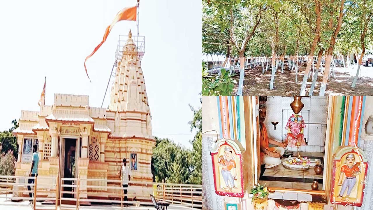 Halvad: 125 બિલ્વવૃક્ષનાં સાંનિધ્યમાં બિરાજમાન શ્રીનીલકંઠ મહાદેવ