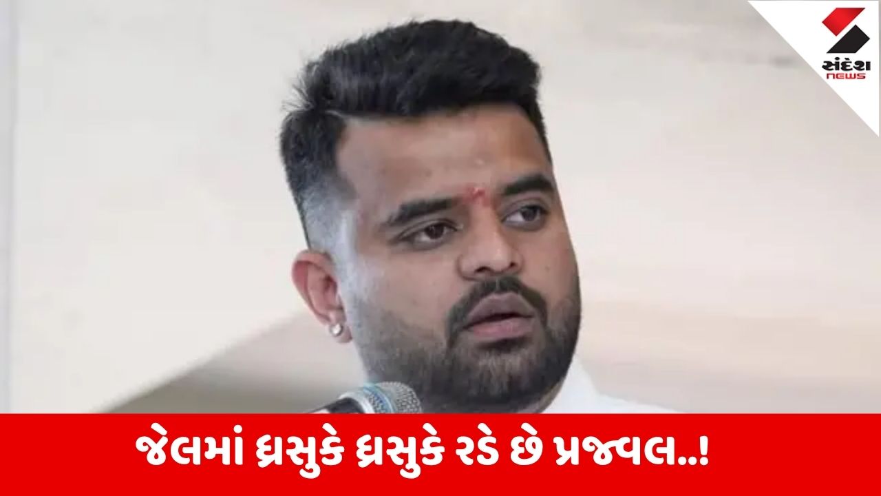 પ્રજ્વલ રેવન્ના: નેતાથી કેદી નંબર 15528 સુધીની સફર, દુષ્કર્મના કેસમાં આજીવન કેદની સજા થઈ.