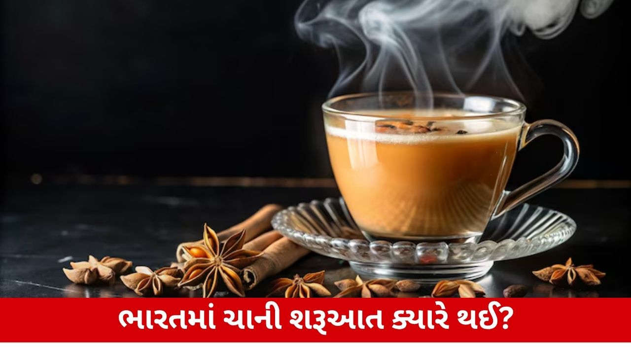 ચાની શોધ કોણે કરી અને ઇતિહાસ કેટલો જૂનો? જાણો! Knowledge માટે આર્ટિકલ.