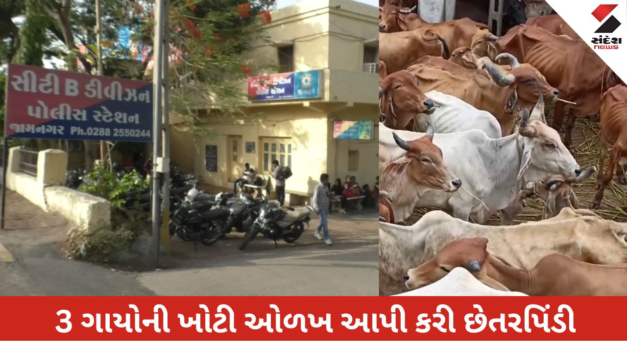 જામનગર: મહાનગરપાલિકામાં ખોટી માલિકી બતાવી ગાયો લઈ જતો શખ્સ ઝડપાયો.