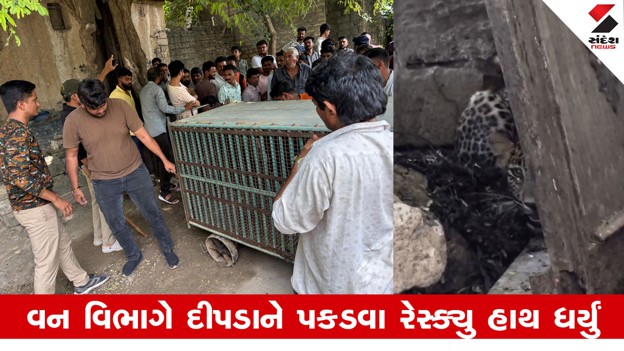 Gir Somnath News: કોડીનારના ડોળાસામાં દીપડાનો આતંક, રહેણાંક મકાનમાં ઘૂસતા ભય, વન વિભાગનું Rescue Operation.
