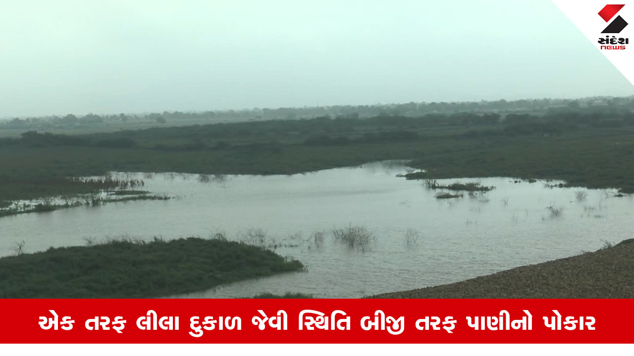 બનાસકાંઠા NEWS: જિલ્લામાં 81% વરસાદ છતાં જળાશયોની સ્થિતિ તળિયાઝાટક, ખેડૂતોને નુકસાન.