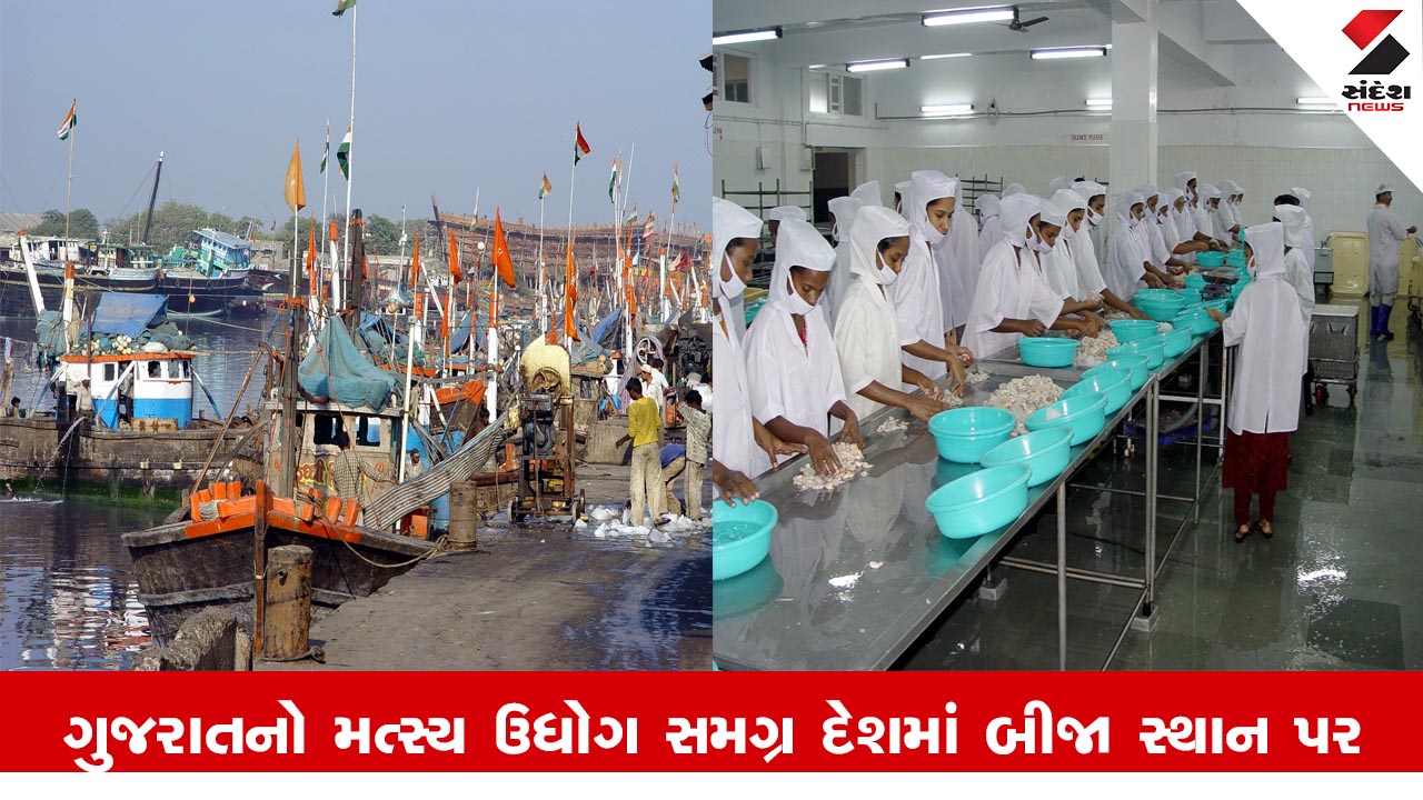 ગુજરાત ન્યૂઝ: ગુજરાત દરિયાઈ માછલી ઉત્પાદનમાં દેશમાં બીજા નંબરે, Inside Story વાંચો.