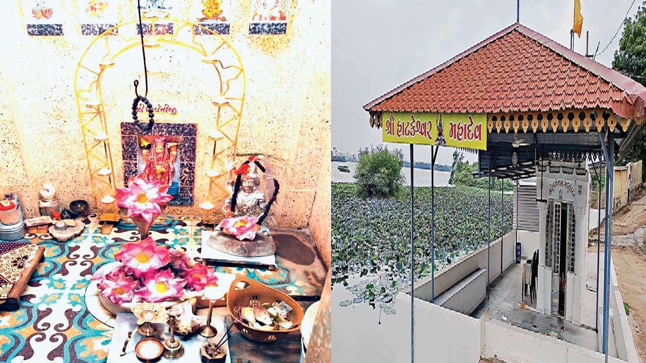 હળવદ: હાટકેશ્વર મહાદેવ મંદિરમાં શ્રાવણ માસ દરમિયાન કમળથી પૂજા કરવામાં આવે છે.