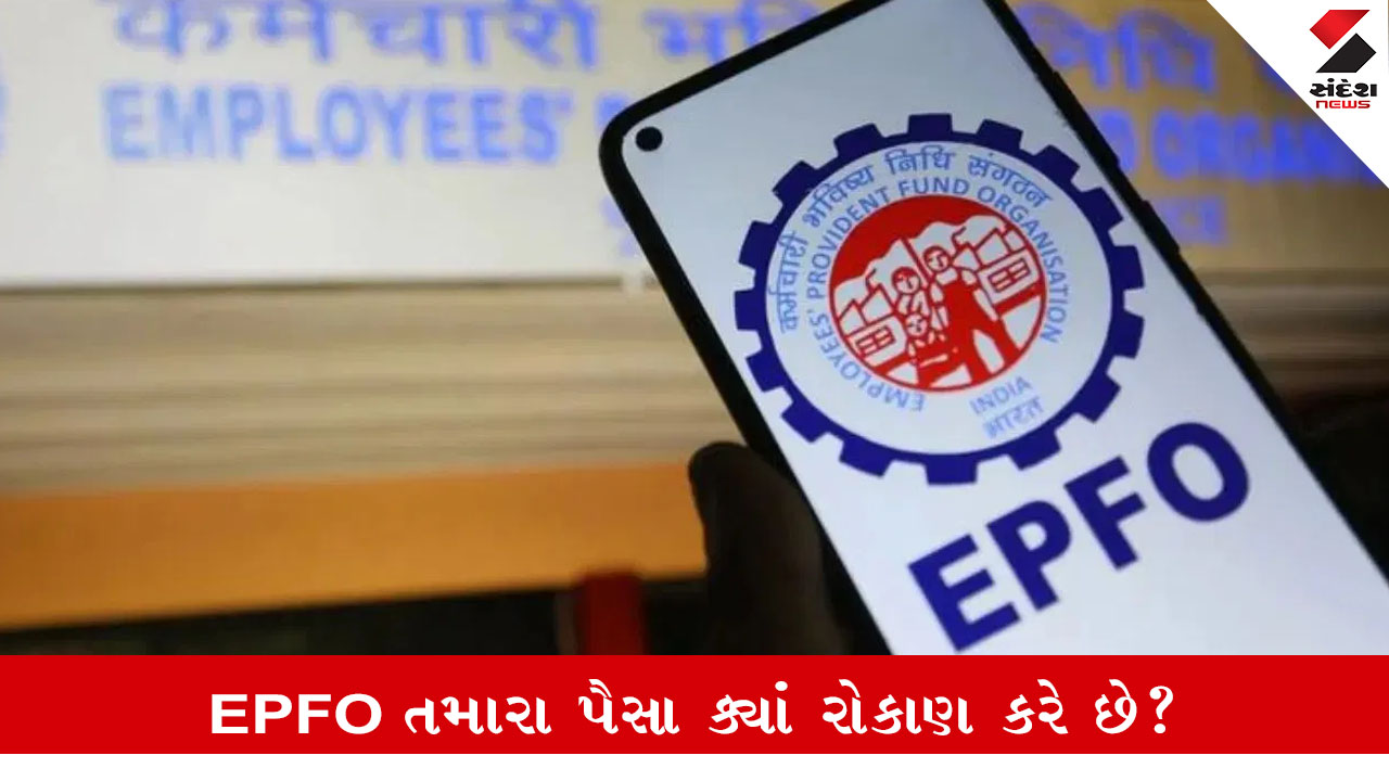 બિઝનેસ: શું તમે જાણો છો કે EPFO તમારા PFના પૈસા ક્યાં INVESTMENT કરે છે?.