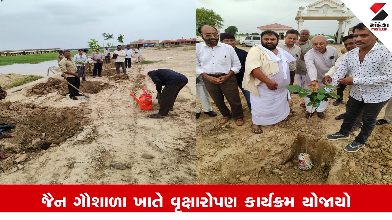 સુરેન્દ્રનગર સમાચાર: પાનવા ગામે પાશ્ચરવપદ્માવતી જૈન ગૌશાળા ખાતે વૃક્ષારોપણ કાર્યક્રમ યોજાયો.