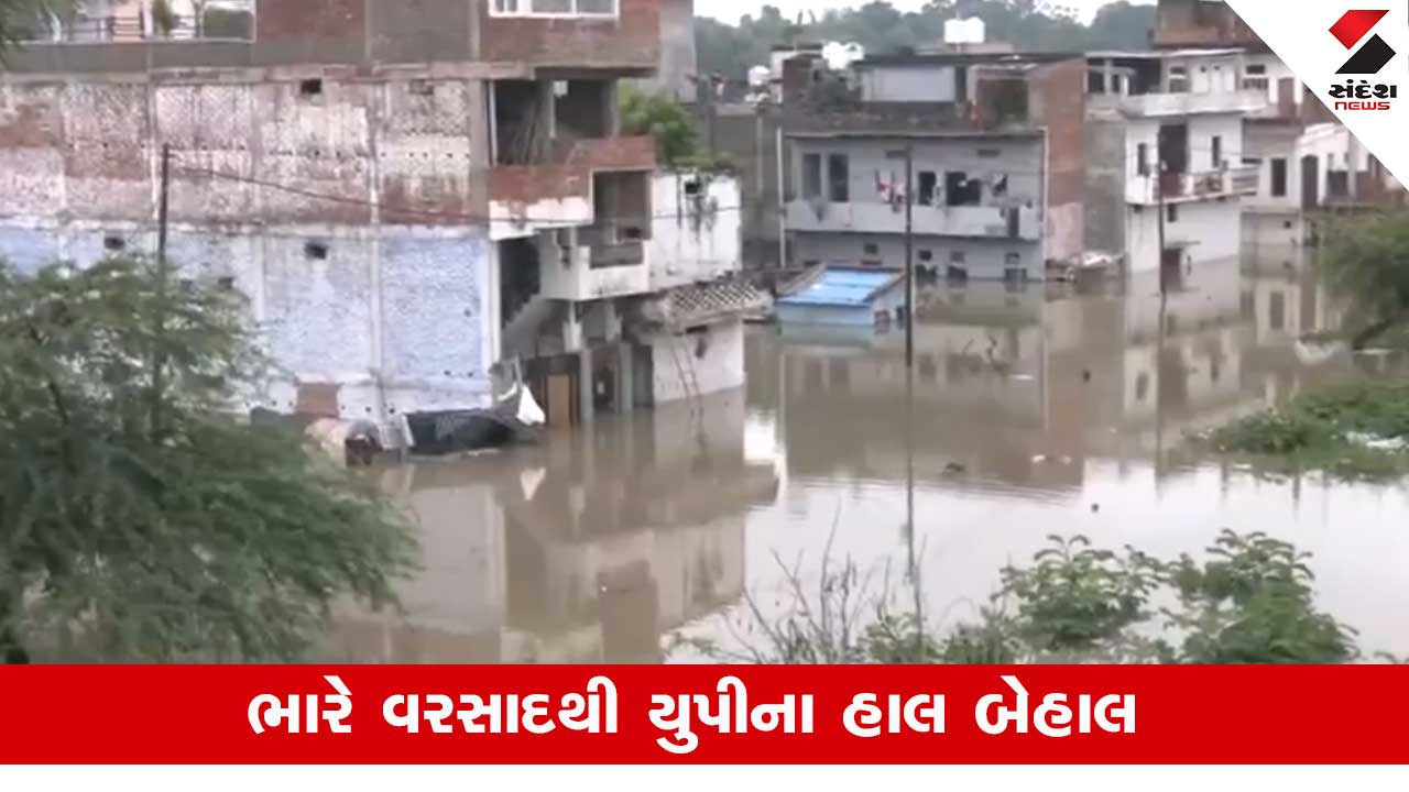 UP Rain: પ્રયાગરાજ જળમગ્ન, 17 જિલ્લાઓમાં પૂર, શાળાઓ બંધ, તંત્ર એલર્ટ.