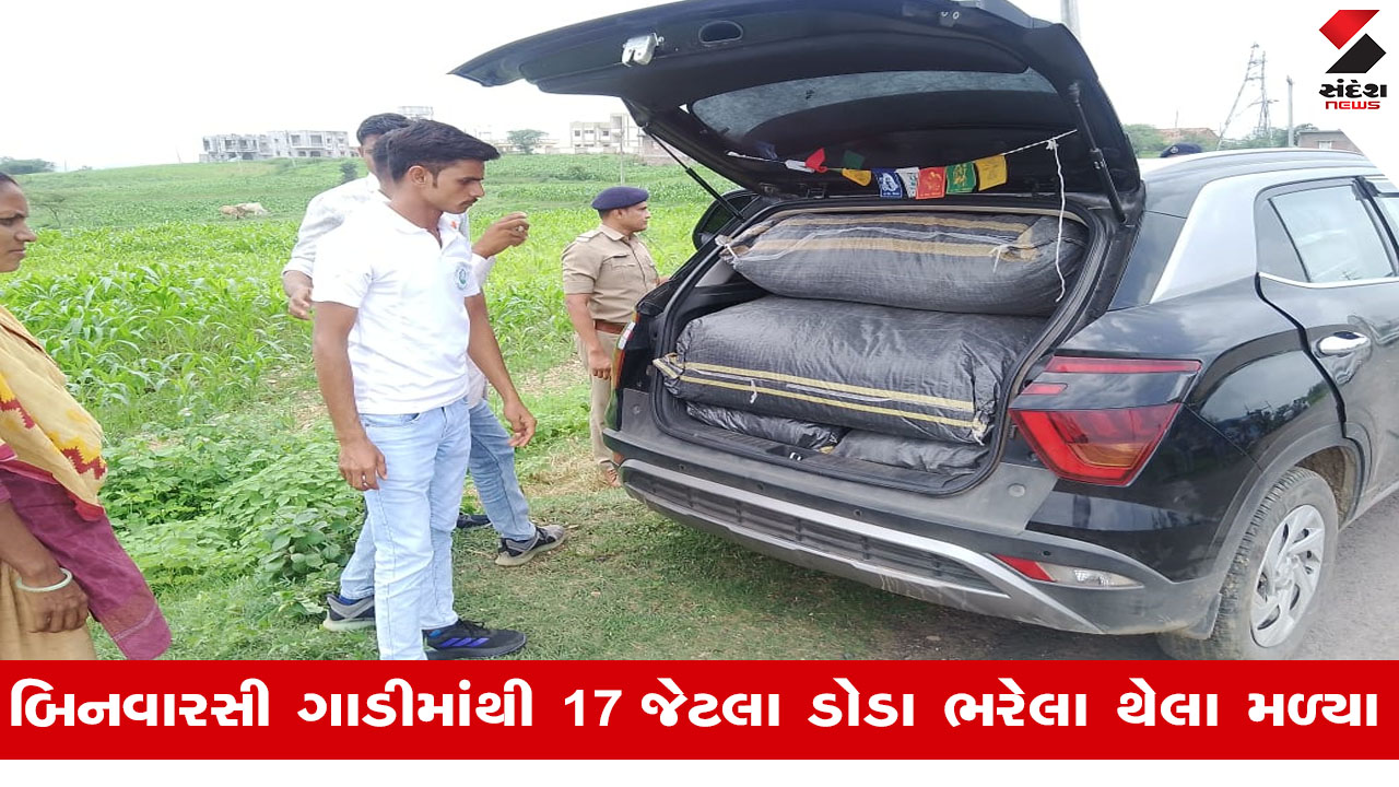 દાહોદ: ચાકલીયામાંથી રૂ.14 લાખના અફીણના પોષ ડોડા ઝડપાયા, પોલીસે NDPS એક્ટ હેઠળ ગુનો નોંધી તપાસ હાથ ધરી.