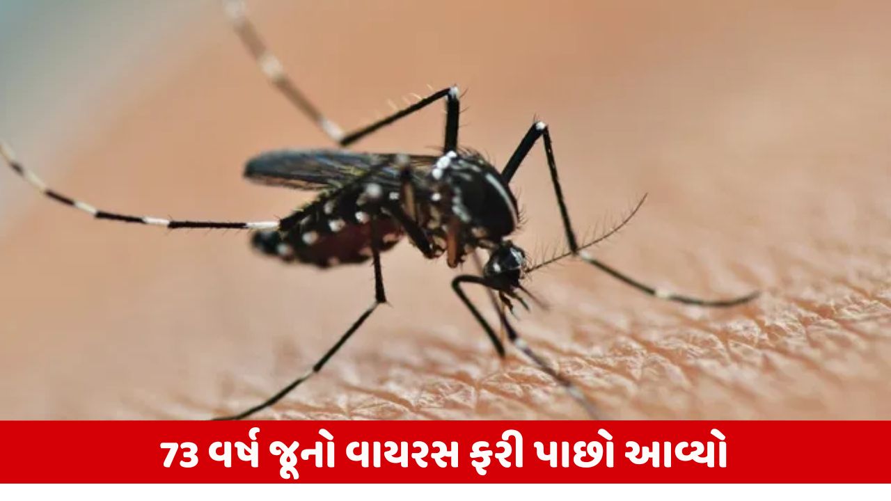 ચીનમાં ચિકનગુનિયાનો હાહાકાર: 7,000 નવા કેસ! કોરોના પછી ચિકનગુનિયાનો પ્રકોપ વધ્યો, લોકો ચિંતામાં.