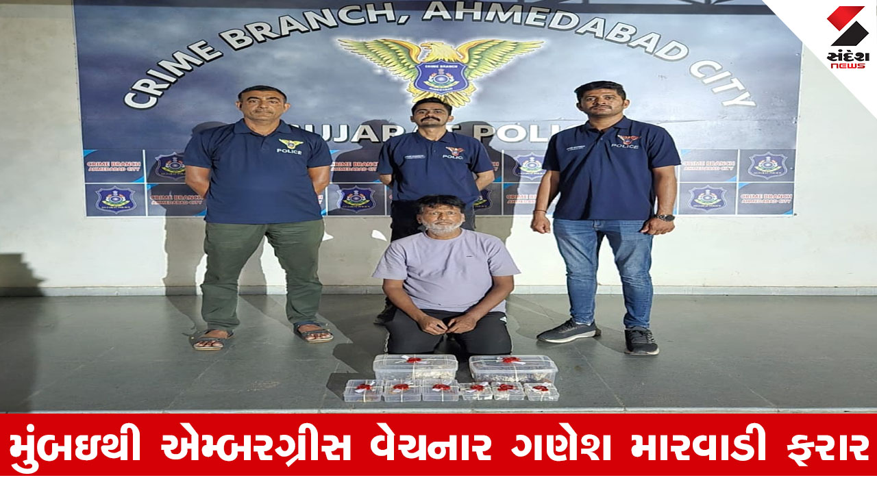 અમદાવાદ: કરોડોનું એમ્બરગ્રીસ ઝડપાયું, એક આરોપીની ધરપકડ, મુખ્ય આરોપી ફરાર, પોલીસ તપાસ ચાલુ.