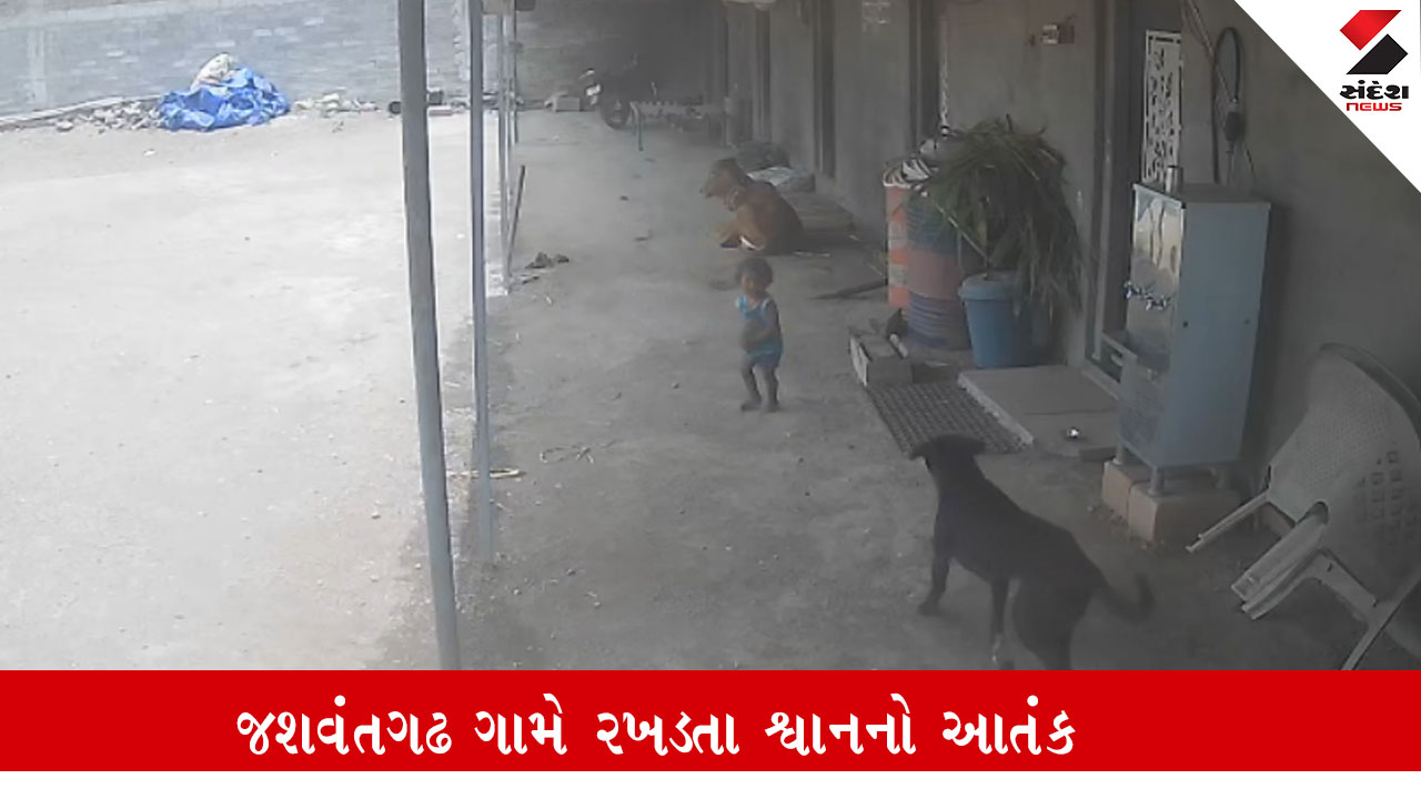 અમરેલી: જશવંતગઢમાં રખડતા શ્વાનનો આતંક, આંગણામાં રમતા બાળક પર હુમલો કરી શ્વાન ઉપાડી ગયો, CCTVમાં ઘટના કેદ.