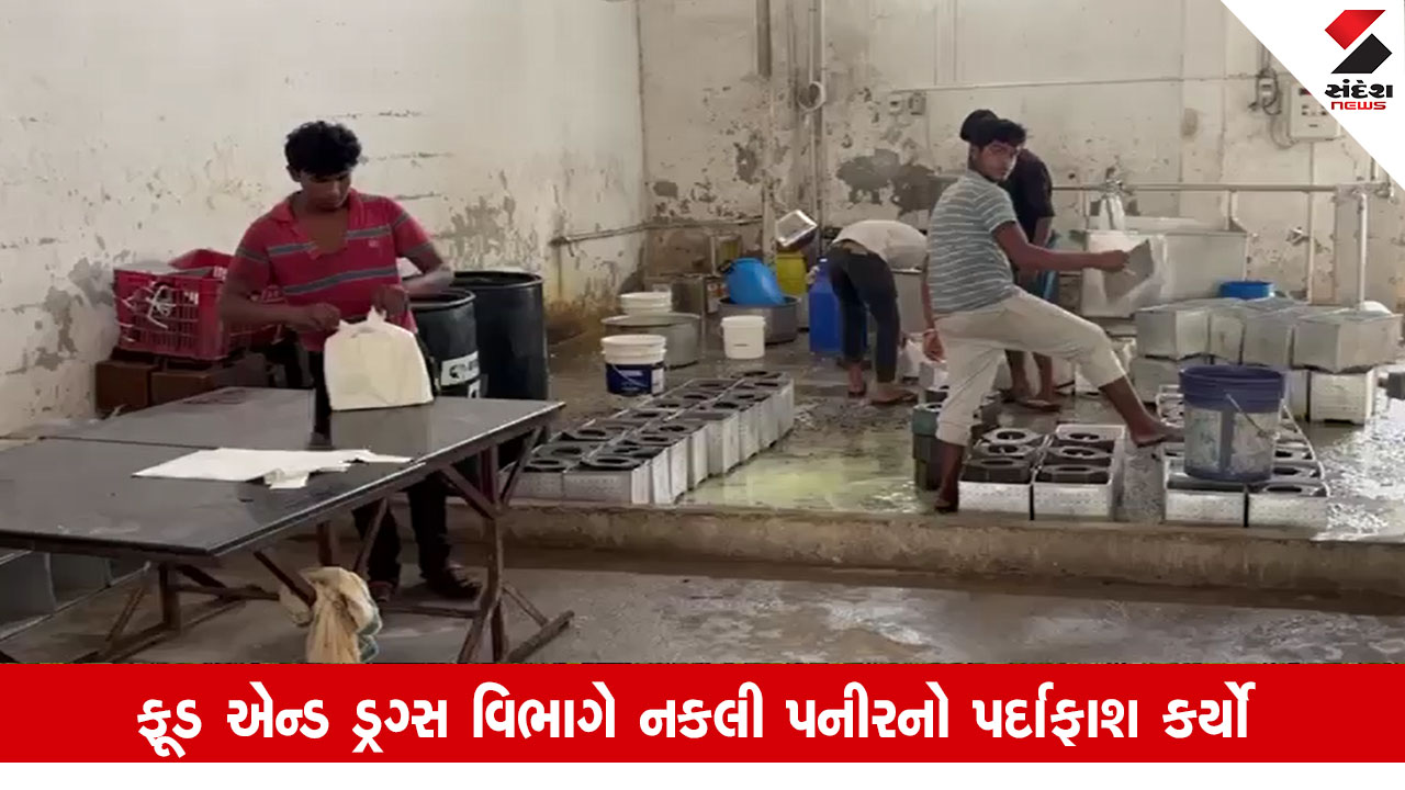 Mehsana News: વિજાપુરમાં નકલી પનીર બનાવતી ફેક્ટરી ઝડપાઇ, 1.61 લાખથી વધુનો મુદ્દામાલ સીઝ