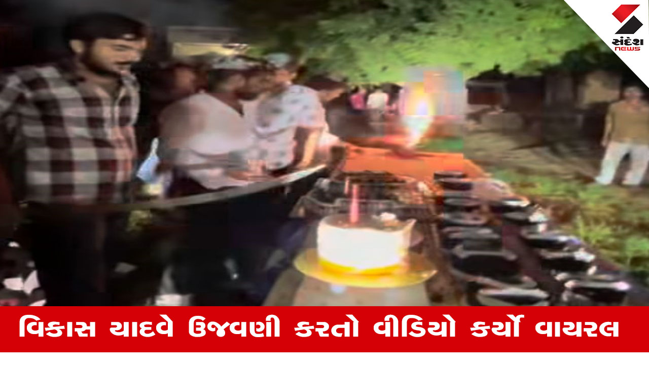 Nadiadમાં ખુલ્લેઆમ તલવારથી કેક કાપતો વીડિયો થયો વાયરલ