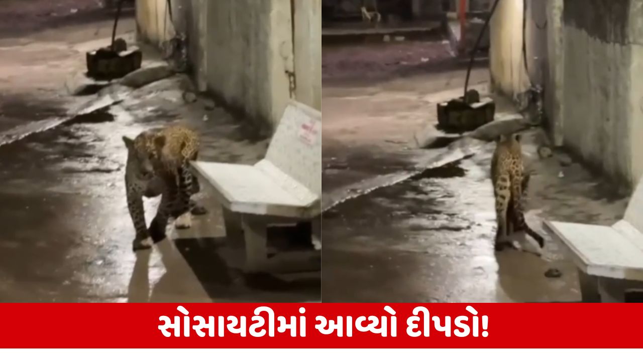 Junagadh : રાતના સમયે જંગલમાંથી દીપડો સોસાયટીમાં ઘુસ્યો, દીપડાની લટારનો વીડિયો વાયરલ