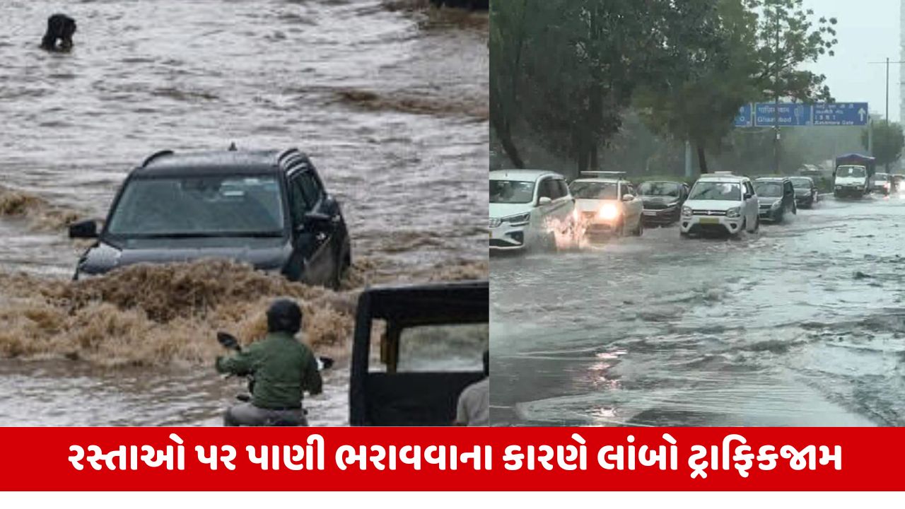 Delhi Rain : રક્ષાબંધનના દિવસે દિલ્હી થયું પાણી-પાણી, ભારે વરસાદને પગલે રસ્તાઓ બન્યા તળાવ!