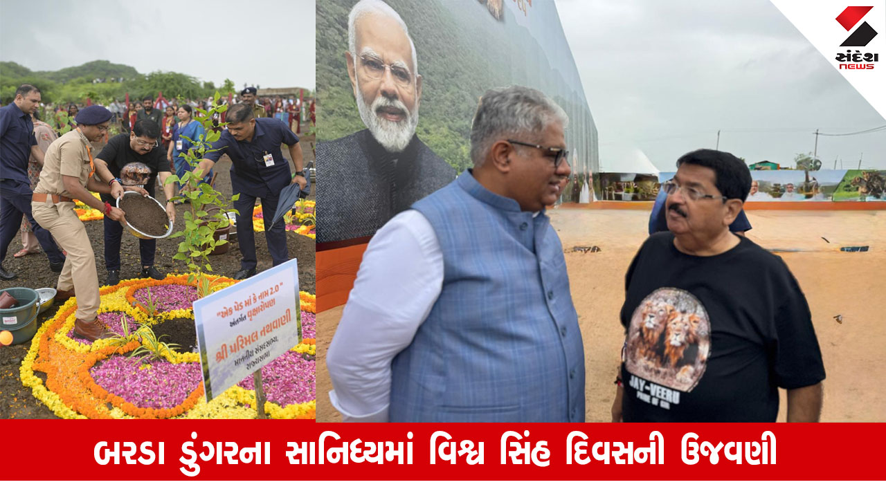 Gir Somnath: વિશ્વ સિંહ દિવસની ઉજવણી દરમિયાન સાંસદ પરિમલ નથવાણીએ વૃક્ષારોપણ કર્યું