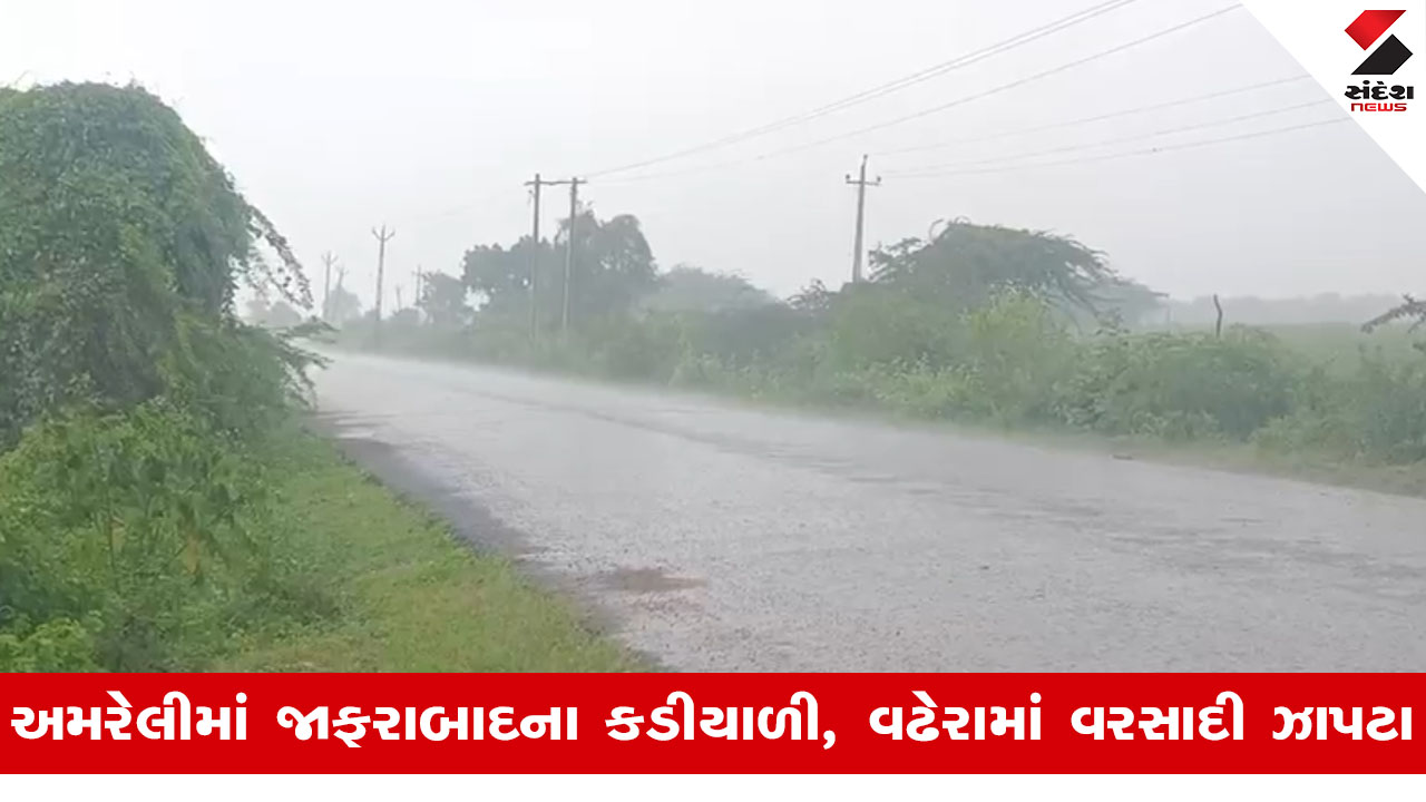 Amreliમાં લાંબા વિરામ બાદ અનેક વિસ્તારોમાં વરસાદી ઝાપટા, ખેડૂતોમાં છવાયો ખુશીનો માહોલ