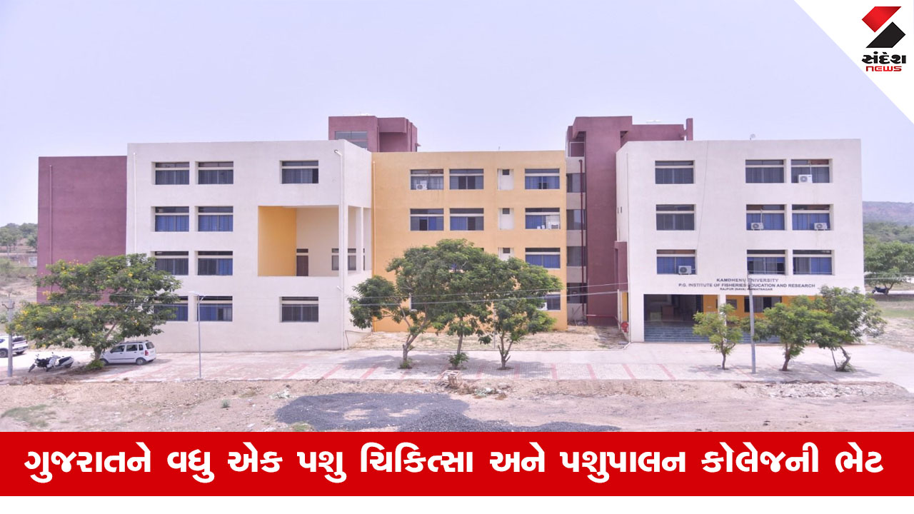 Gujarat News: હિંમતનગરમાં કામધેનુ વેટરનરી કૉલેજ મંજૂર,આગામી મહિનાથી 80 સીટ પર પ્રવેશ મળશે