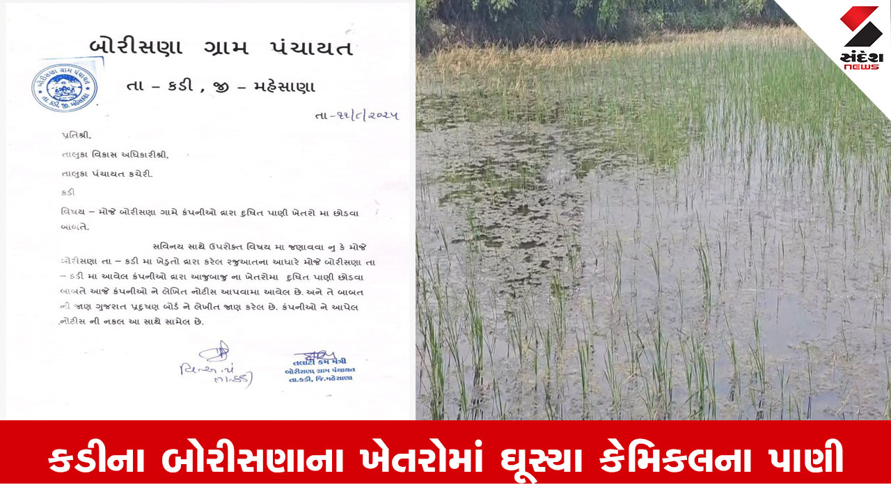 મહેસાણા સમાચાર: કડીના બોરીસણામાં કેમિકલયુક્ત પાણી ખેતરોમાં છોડાતા તલાટીએ પ્રાઇવેટ કંપનીને નોટિસ ફટકારી.