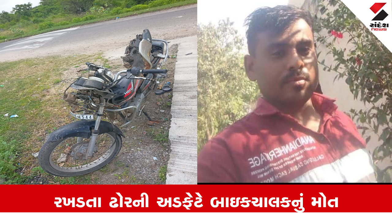 Vadodara News : વડોદરાના વાઘોડિયામાં રખડતા ઢોરે બાઈકચાલકને અડફેટે લેતા નિપજયું મોત