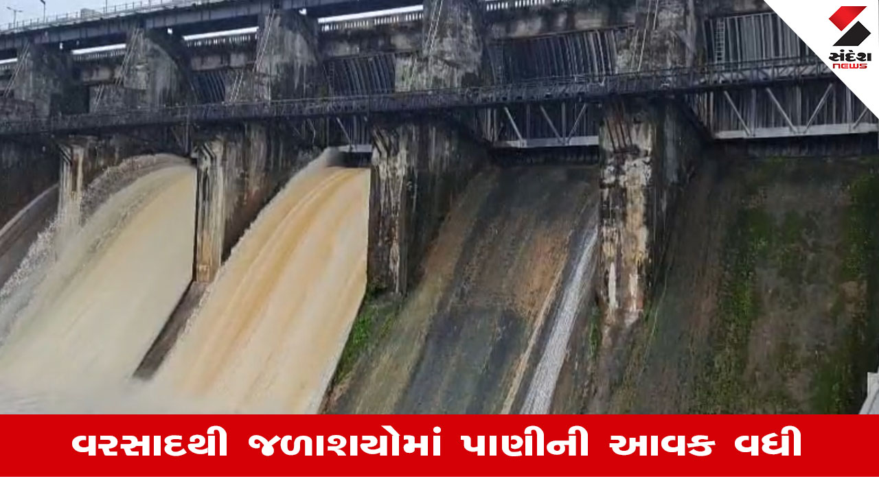 Gir Somnath: જામવાળાના મધ્ય ગીરમાં ધોધમાર વરસાદ, શિંગોડા ડેમ 86% ભરાતા બે દરવાજા ખોલવામાં આવ્યા