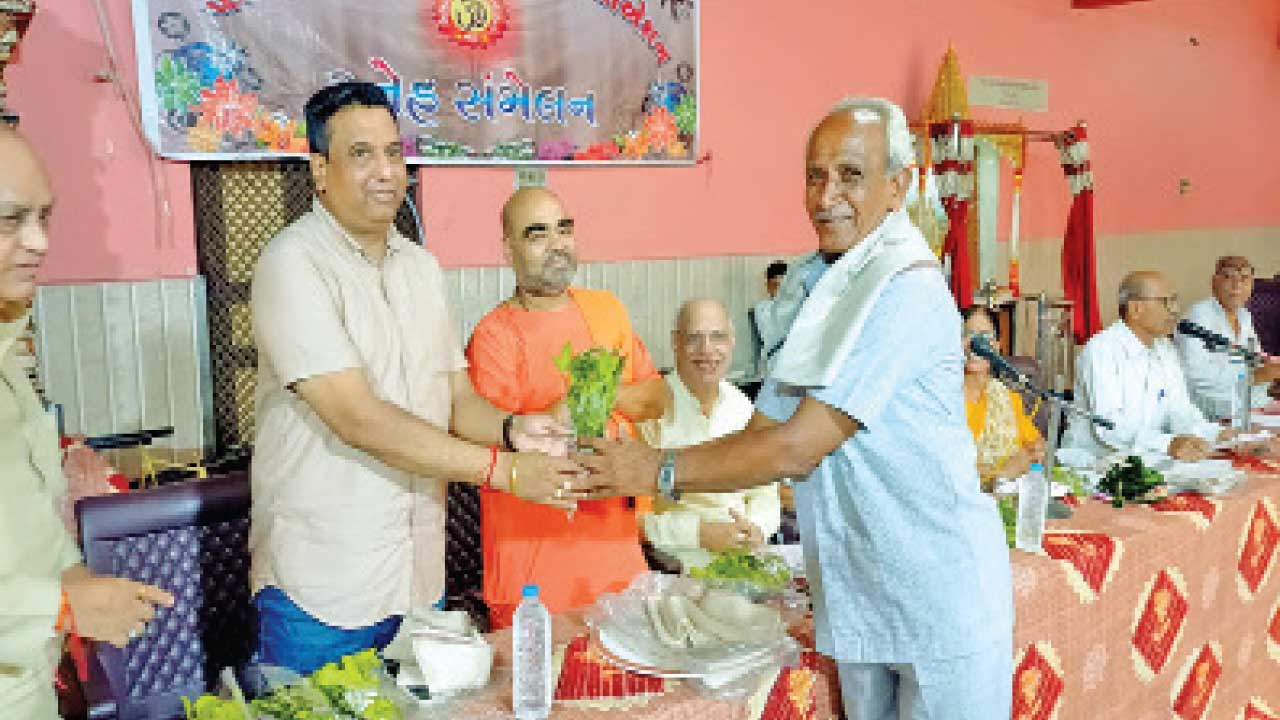 Padra:સિનિયર સિટીઝન એસો.ની વાર્ષિક સભા યોજાઈ