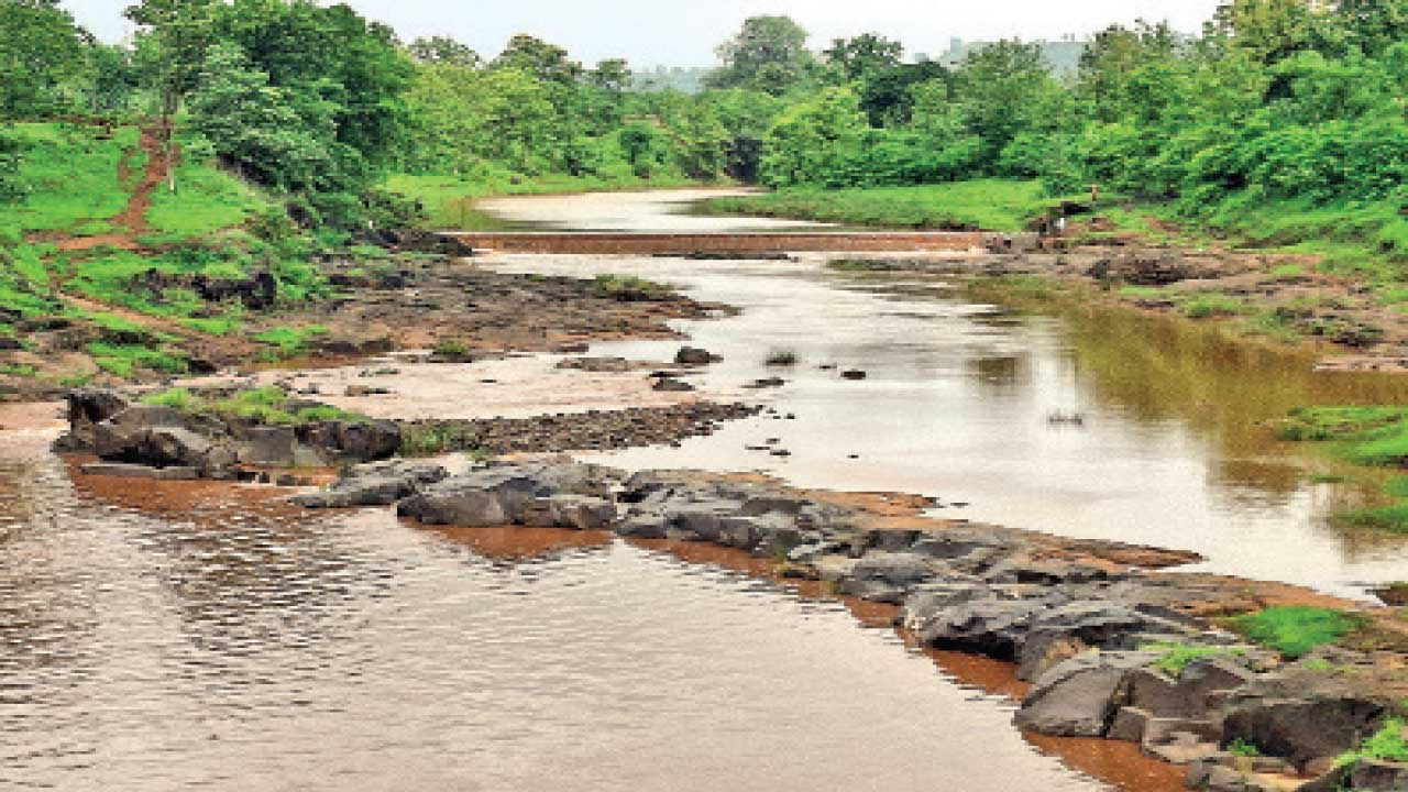 Narmada:દેડિયાપાડા તાલુકામાં મેઘરાજા મહેરબાન થતાં ખેડૂતો ખુશ