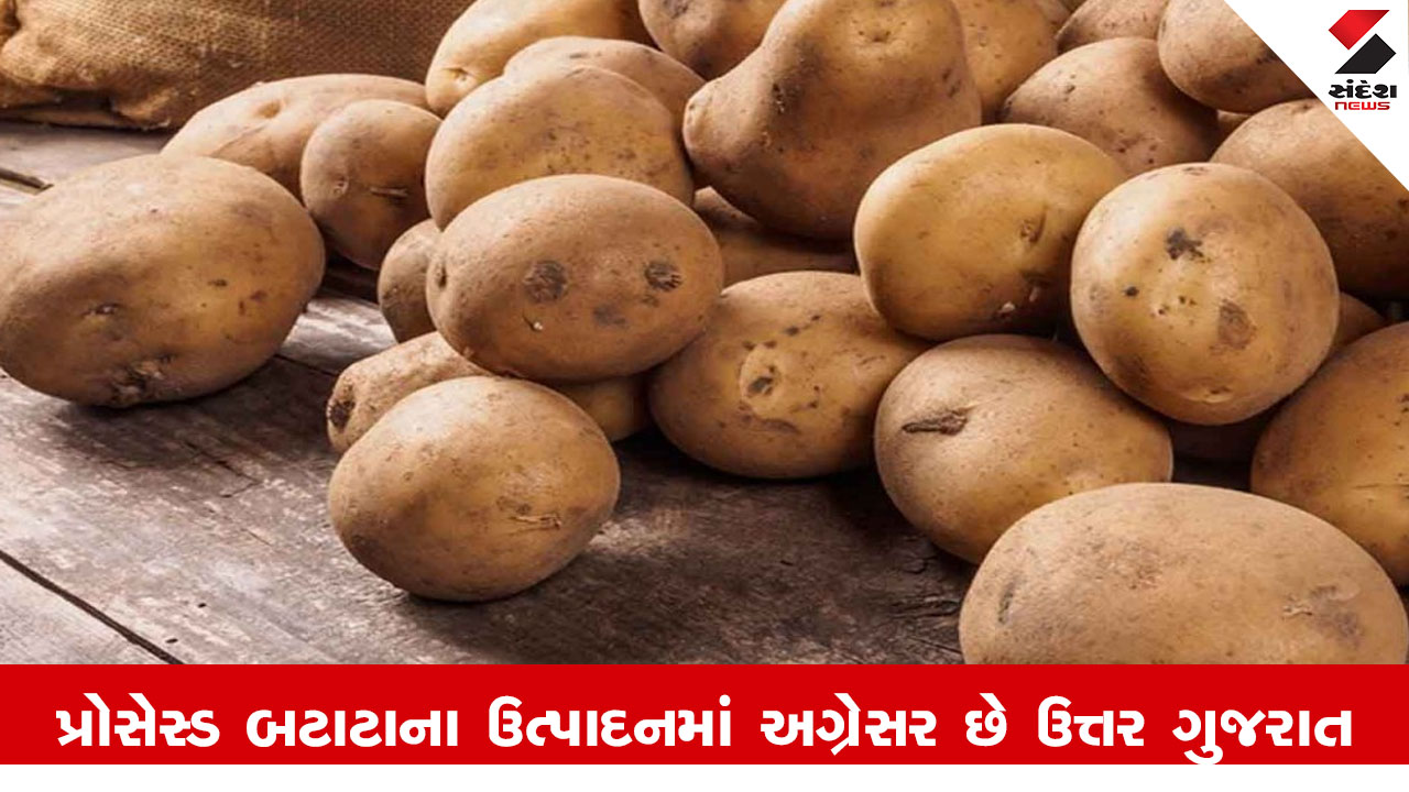 Banaskantha News : ફ્રેન્ચ ફ્રાઈસ માટે પ્રોસેસ્ડ બટાટાના ઉત્પાદનમાં અગ્રેસર છે ઉત્તર ગુજરાત, વાઇબ્રન્ટ ગુજરાત રિજનલ કોન્ફરન્સમાં આ સફળતા થશે પ્રદર્શિત