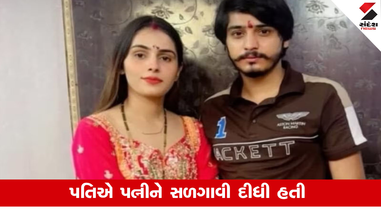 Nikki Murder Case: ઇન્સ્ટાગ્રામ રીલ્સ, બ્યુટી પાર્લર કે દહેજ? નિક્કીના હત્યાનું અસલી કારણ શું છે?.