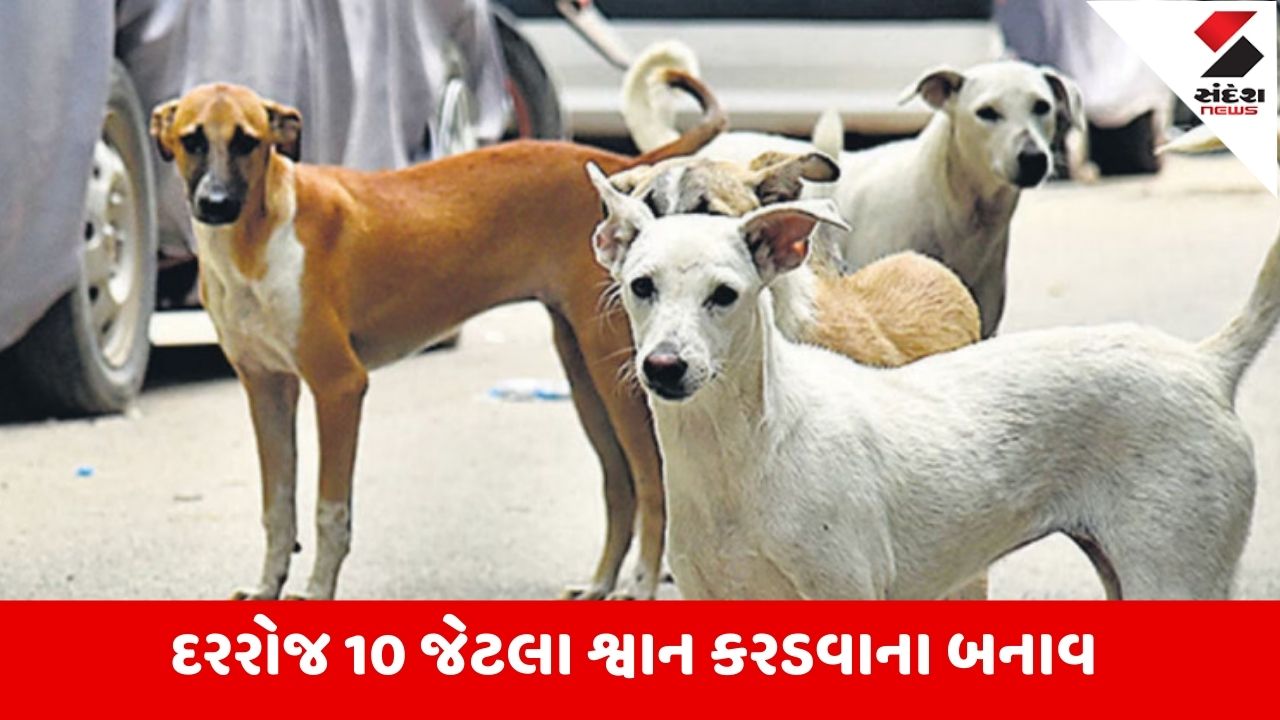AMCની સામાન્ય સભામાં રખડતા શ્વાનનો ઉઠ્યો મુદ્દો, શહેરમાં ચાર વર્ષમાં શ્વાન કરડવાની 3 લાખથી વધુ ફરિયાદો હોવાનો આરોપ