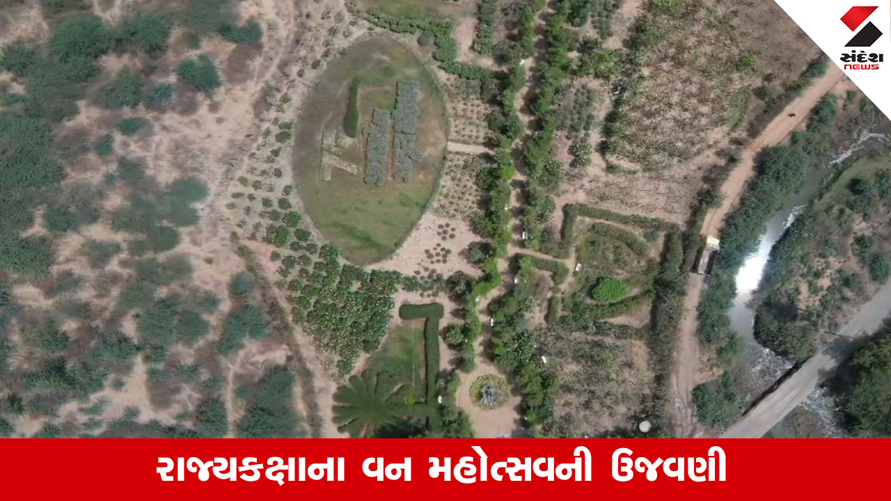ખેડા: ગળતેશ્વરમાં રાજ્યકક્ષાના વન મહોત્સવની ઉજવણી અને 5 હેક્ટરમાં ગળતેશ્વર વનનું નિર્માણ.