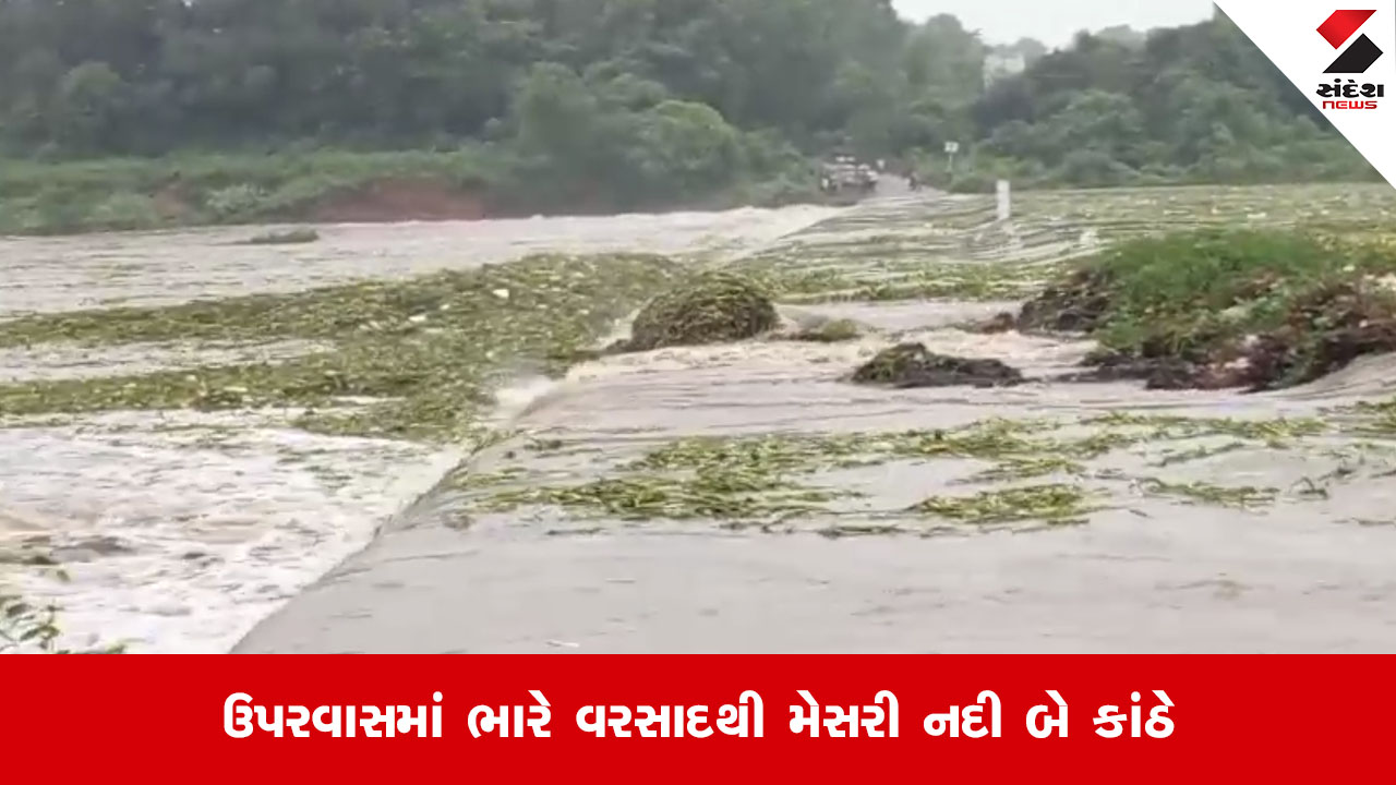 Vadodaraના ડેસરમાં મેસરી નદી બે કાંઠે, બે ગામો વચ્ચેનો સંપર્ક કપાયો