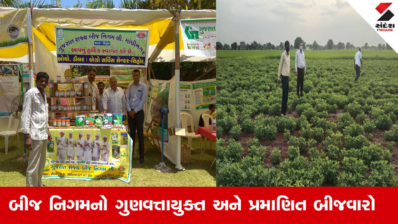 Agriculture News: બીજ નિગમ દ્વારા ગુણવત્તાયુક્ત બિયારણનું ઉત્પાદન અને વેચાણ, જેમાં 24 પાકની 125થી વધુ જાતો સામેલ.